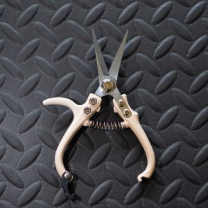 Pruning Shears | Vanilla